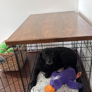 Mona added a photo of their purchase