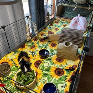 Jeanie hat ein Foto des gekauften Artikels hinzugefügt