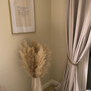 Lucy added a photo of their purchase