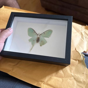 yaya added a photo of their purchase