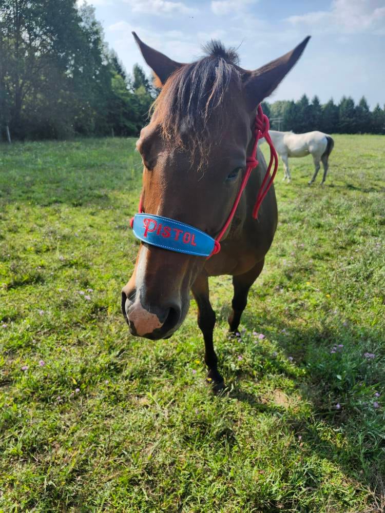 Skinny Bronc Poly Rope Halter