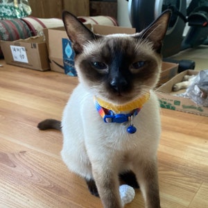 dewowl added a photo of their purchase