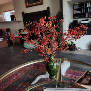 Willow added a photo of their purchase