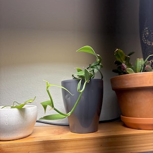 Sam ha añadido una foto de su compra