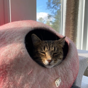 Tracey added a photo of their purchase
