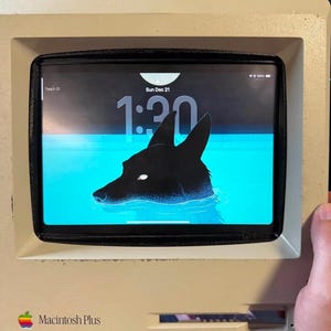 Tannlore ha añadido una foto de su compra