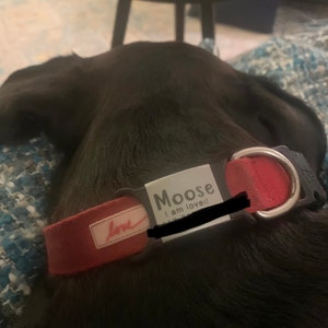 Julie.a.snyder added a photo of their purchase