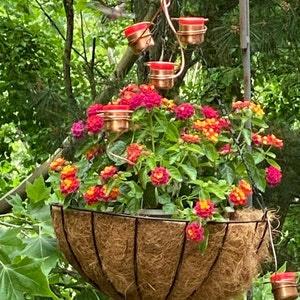 Jane added a photo of their purchase