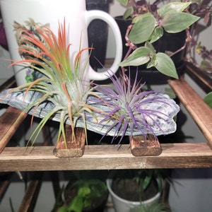 Robbie さんが購入した商品の写真を追加しました