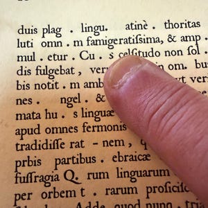 Thomas added a photo of their purchase