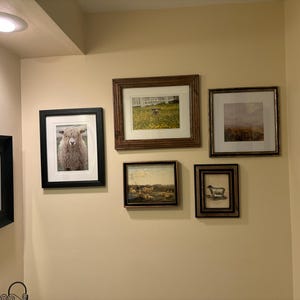 Kathy added a photo of their purchase