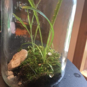 Dalena added a photo of their purchase