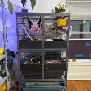 Veronika added a photo of their purchase