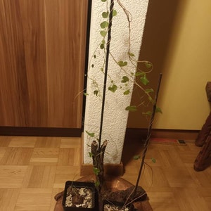 Veit added a photo of their purchase