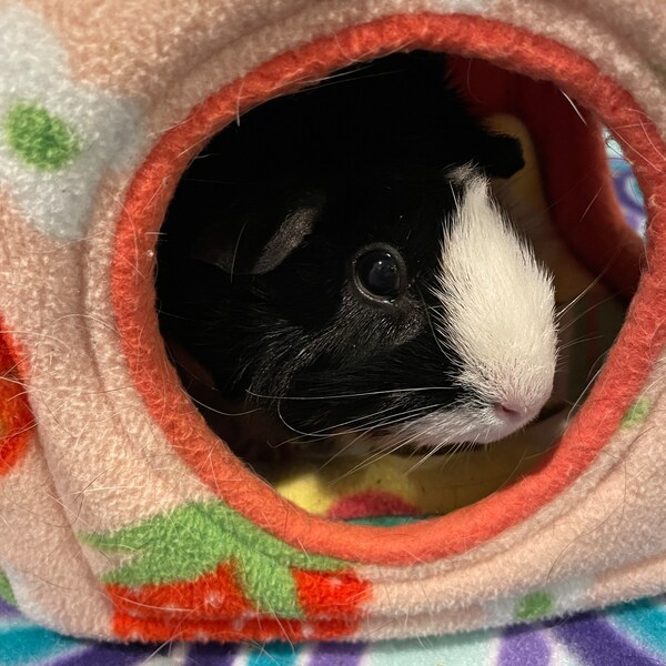 Photo inspiration: Gallery Detail: Cozy Corner Cube Bed For Guinea Pig Handmade Fleece Soft