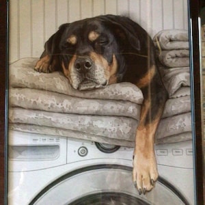 Michele added a photo of their purchase