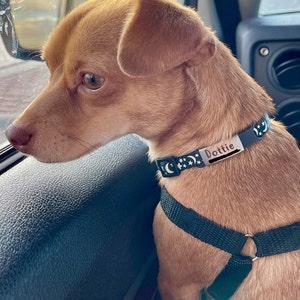 Anna added a photo of their purchase