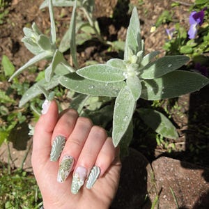 Callissa added a photo of their purchase
