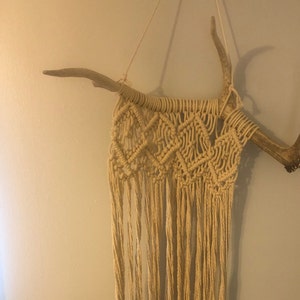 Ali added a photo of their purchase