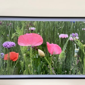 Laird added a photo of their purchase