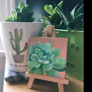 Inactive account added a photo of their purchase