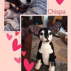 Ángeles added a photo of their purchase