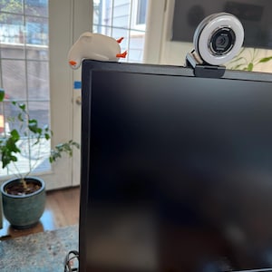 Anna hat ein Foto des gekauften Artikels hinzugefügt