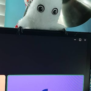Wilbur added a photo of their purchase
