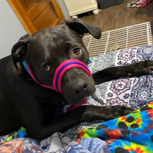 Makenzie added a photo of their purchase