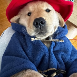 Sam ha aggiunto una foto del proprio acquisto