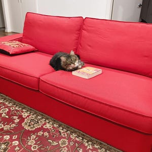 Sergey added a photo of their purchase