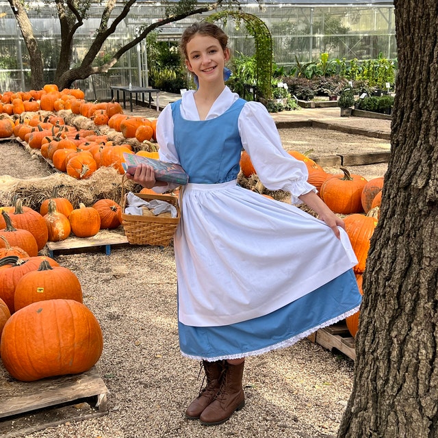 Provincial on sale belle costume