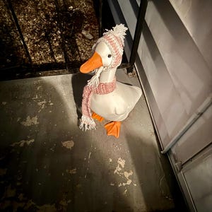 Amber ha aggiunto una foto del proprio acquisto