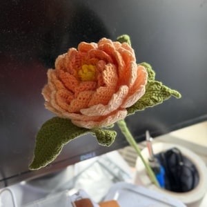 Christina hat ein Foto des gekauften Artikels hinzugefügt