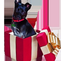 Zahnarzt Geschenk Für Frauen – Make-up-Tasche, Baumwolle-Leinen, 25x17 Cm, Für Assistentinnen & Hygienikerinnen
