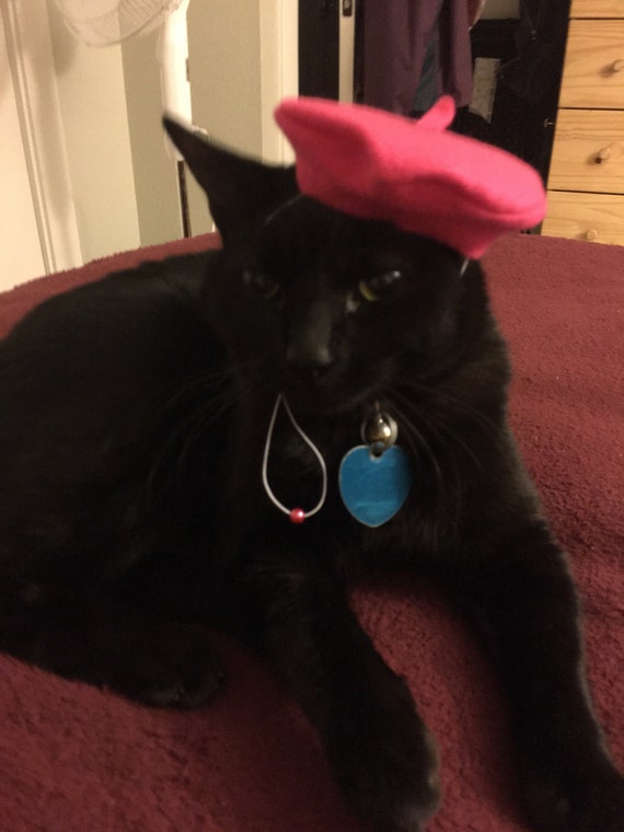 Customer photo of a pet with the Beret Personalized for small pet Raspberry