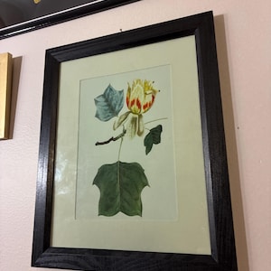 Andreita さんが購入した商品の写真を追加しました