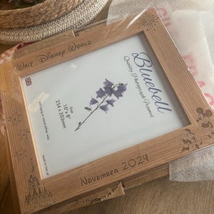 Amy added a photo of their purchase