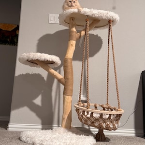 Beatriz added a photo of their purchase