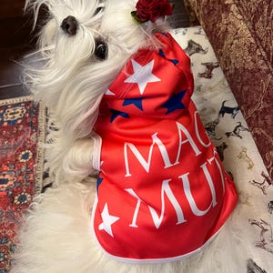 Patti added a photo of their purchase