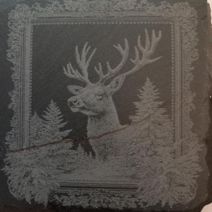 sean added a photo of their purchase