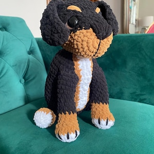 Amy added a photo of their purchase