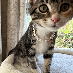 Laura added a photo of their purchase