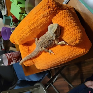 Marissa a ajouté une photo de son achat