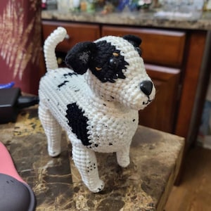 Sara added a photo of their purchase
