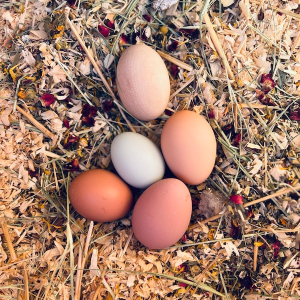 DIY Herbal Bath Recipe for Chickens: A Dust Bath Delight! - Etsy