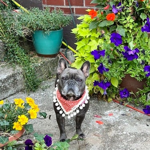 Shelly ha añadido una foto de su compra