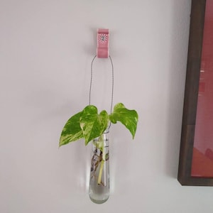 Amanda a ajouté une photo de son achat