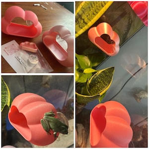 Ashton さんが購入した商品の写真を追加しました