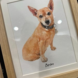 Ryan ha añadido una foto de su compra